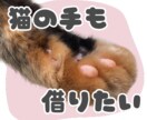 あなたのペットの写真でLINEスタンプ作ります 送っていただいた日常の写真をもとに12個制作！ イメージ10