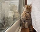 悩み【寂しい女性】の相談聞きます ‼️些細な悩みでも『落ち着く優しい声』で聞きます！！ イメージ3