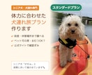 シニア犬の体力に合わせた犬連れ旅プラン作ります 段差・休憩・おむつまで調べる、シニア犬・犬連れ専門 イメージ1