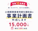 10名様限定！持続化補助金の事業計画書を作成します ココナラ出品記念価格！ヒアリングから対応。最短1週間で納品！ イメージ1