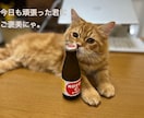 誰かと話したい夜に、寄り添います あなたのこころが満たされますように イメージ8