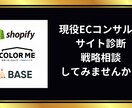 ECサイトの診断を行いアドバイスします 重要数値の見方や考え方をレクチャーします イメージ1