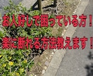 お人好しで疲れてしまった人へ。楽になる方法教えます 人が良過ぎて断れず苦しい方。考え方から変えましょう！ イメージ1