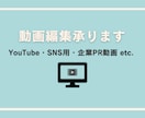 YouTube・SNS・企業動画の動画編集します お客様に寄り添った丁寧な対応で動画編集のお仕事いたします イメージ1