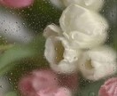 動物⭐︎うさぎ⭐︎飼育相談のります うさぎさんや小動物さんの飼育相談にのります。 イメージ7