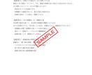 東南アジア陸路旅：詰みポイント診断します 行けるか、どこで詰むか。判断材料を短時間で提供 イメージ6