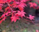 雑談OK!どんなお話でもお聞きします 話し相手・愚痴聞き あなたの味方です! イメージ4