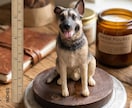 愛犬・愛猫を写真から立体フィギュアにします 写真をお送りいただくだけ。毛色も表情もそっくりに。 イメージ1