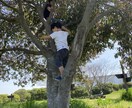 子どもさんの不登校や先の見えない不安を受け止めます どんな事でもきっと乗り越えられる！負けない人になれるはず！ イメージ5