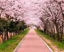 恋愛のモヤモヤや不安を整理し相手との関係を整えます 執着不安距離感に悩む方に気持ちとエネルギーを整えるミニワーク イメージ1