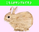 かわいくて愛しい♪うちのこペットイラストを描きます プレゼントにも最適！いぬ・ねこをリアル、アニメ風に制作します イメージ7