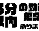 動画字幕編集承ります ５分以内の動画編集承ります‼️ イメージ1