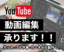 格安料金で動画編集いたします TikTok、Twitterなども受け付けております！ イメージ1