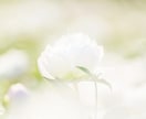 すべて視えます。驚異の霊視力で、願望成就へ導きます 恋愛・復縁・音信不通・全方位のお悩みを解決へ導きます。 イメージ3