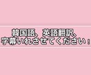 動画に翻訳、字幕いれさせてもらいます 韓国語、英語対応できます！！！ イメージ1