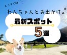 Instagram用　広告投稿画像作成いたします イベントや商品の宣伝にも❁フォロワー・集客アップ！ イメージ3