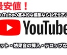 最安!! YouTube用の動画編集代行を行います 最安でも納得行くクオリティを提供します イメージ1