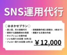 美容サロンのSNS運用代行します 美容サロン様向けのInstagram運用代行をします。 イメージ2