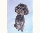 うちの子・ペットの似顔絵イラスト制作します ペットのお写真から水彩画風のイラストをお届けします イメージ3