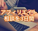 3日間のアフィリエイト相談をします アフィリで悩んでいる人向け！サイト全体のサポートをします イメージ1