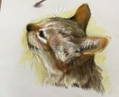 アイコン、グッズデザイン などほとんど出来ます 年齢性別関係なく可愛らしい印象のイラストを持ちたい方へ イメージ8