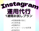 お試しプラン★Instagram運用代行します 初回のみのお試しプラン✨1ヶ月プランをお考えの方にぜひ イメージ2