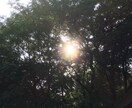 YESかＮＯをお伝えします 決断に迷うあなたへ後押しします。 イメージ3
