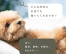 どんな話も聞きます！雑談、お悩み、愚痴を聞きます タメ口OK！友達感覚でお話ししましょう✨ イメージ1