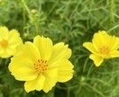 満たされない想いや不倫相談etc何でもお聞きします アラフィフ元公務員（w不倫経験有・子供2人）のよろず人生相談 イメージ1