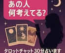 あの人何考えてる？タロットチャット30分占います 占い結果をお伝えしてから30分間のご質問タイム☆秘密厳守 イメージ8