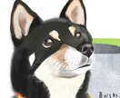 動物、人物、ペットの似顔絵作成します リアルで温かみのあるイラストを☆ イメージ7