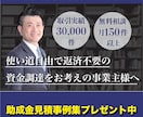 雇用関係の助成金に関して説明し受給額を査定します ９割以上の方が利用できていない助成金で返済不要の資金調達 イメージ1