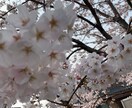 旦那さん(男)目線で夫婦関係の相談のります 夫婦関係で相談したい方いませんか？ イメージ1