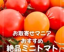 Instagramフィード・リール画像作成します 時間がない方必見！1投稿10枚まで！ イメージ6