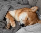 疲れて元気が出ない男性のために❤️癒し攻め致します ふわっとろな癒し声と笑いで⭐️温かく優しい時間を届けます❤️ イメージ9
