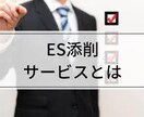 グランドスタッフ内定！ES添削します 元JALグランドスタッフ採用担当がES添削します！ イメージ1