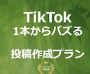 バズる【TikTok】動画編集行います バズり専門のTikTokチームが動画編集行います！ イメージ1