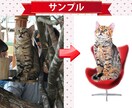 動物の写真や画像からイラストを作成いたします。ます 画像や写真から動物のイラストを作成いたします。 イメージ1