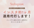 インスタグラム約1ヶ月運用代行します ＼いいね周り込みでこの価格／インスタの基本的な運用をお任せ♪ イメージ1
