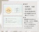 先着5名様限定価格！選ぶだけの簡単名刺を作ります 色と花を選ぶだけ！すぐに使える名刺をお届けします イメージ3