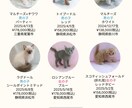 WordPressでHP制作いたします はじめてのHPづくりも、いちから丁寧にサポートします。 イメージ2