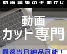 動画のカット専門！ご希望の動画をカットします データからでもDVDからでも可能！ イメージ1