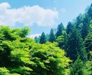 あなたの愚痴・悩み何でも聞きます 1人で悩まないでください！！嫌な事は全部吐き出しましょう！ イメージ1