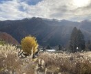 1分からお相手致します 秘密厳守で、24歳沖縄人がお話ききます♪ イメージ1