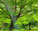 先が見えない恋、不安いっぱいな気持ちに寄り添います 不倫、好きになってはいけない人、私は幸せになれる？ イメージ3