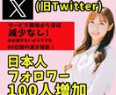 X(追加購入用）日本人フォロワー100人増加します リアルユーザーの日本人アカウントがフォローします イメージ1