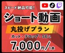 動画丸投げで動画を作成します ◇あなたの魅力を、わかりやすく、おもしろく◇ イメージ1
