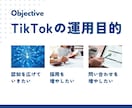TikTok万アカ運用者が運用代行いたします 【採用｜問い合わせ増加】アカウント設計から運用までをサポート イメージ2