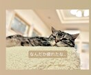 チャットであなたの心を癒します 精神科ナースとお話したい方！悩み相談/話し相手/恋愛も♡ イメージ3