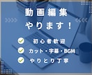SNS・イベント用動画を丁寧に編集します 初心者の方も大歓迎！とにかく丁寧に対応します！！ イメージ2